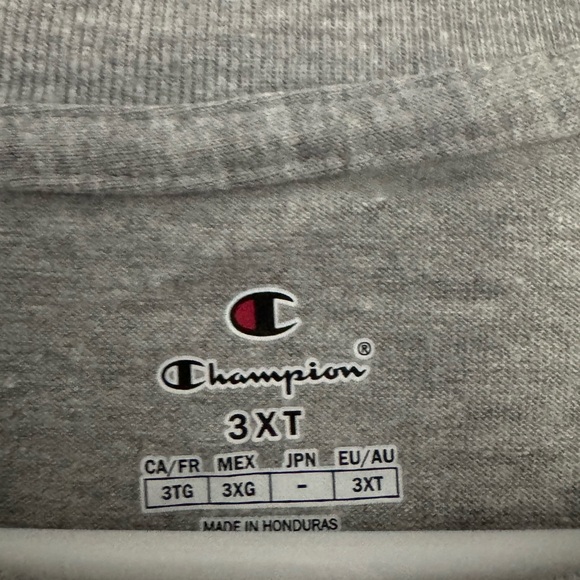 Champion Men's Short Sleeve T-Shirt Gray, 3XLT - Picture 2 of 4